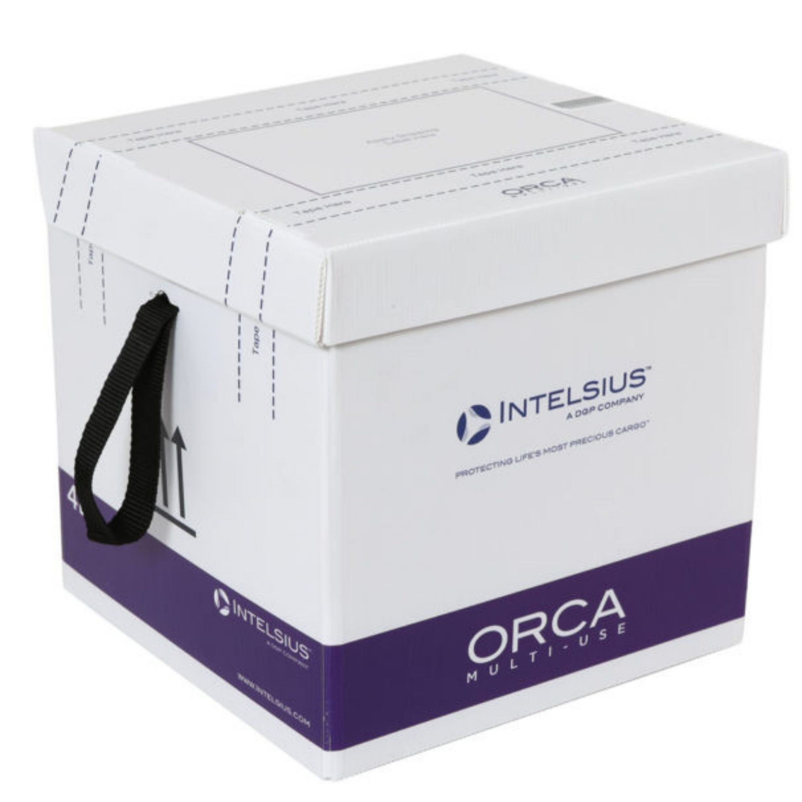 Expert Guide to Dry Ice Shipping Packaging Boxes: Everything You Need to Know