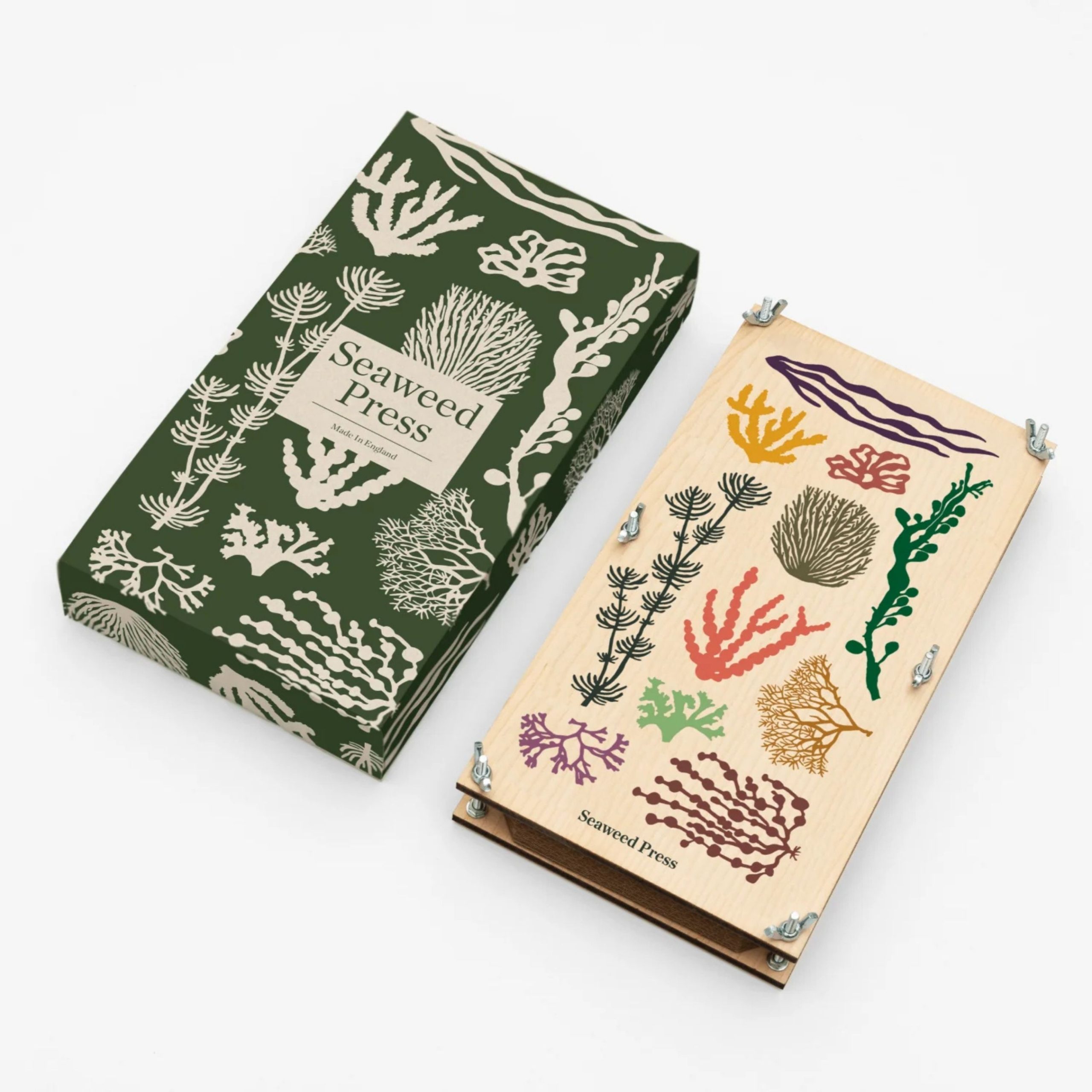Revolutionizing Packaging with Seaweed: The Future of Sustainable Boxes