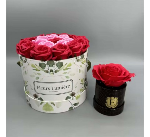 Plant Packaging Boxes